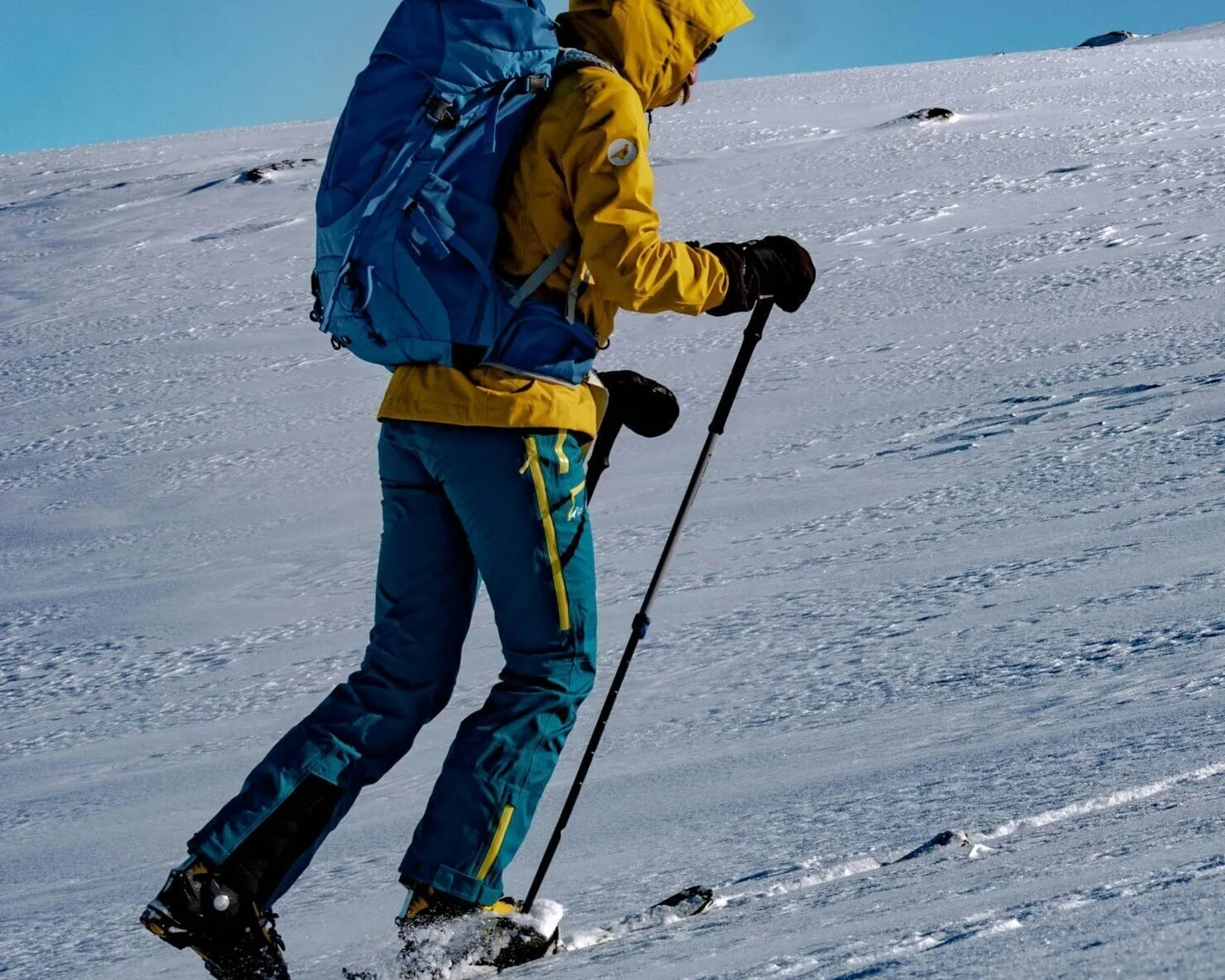 Sci alpinismo