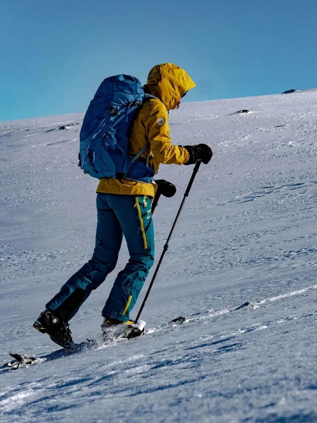 Cyprien delaporte xe46nj Ook A unsplash