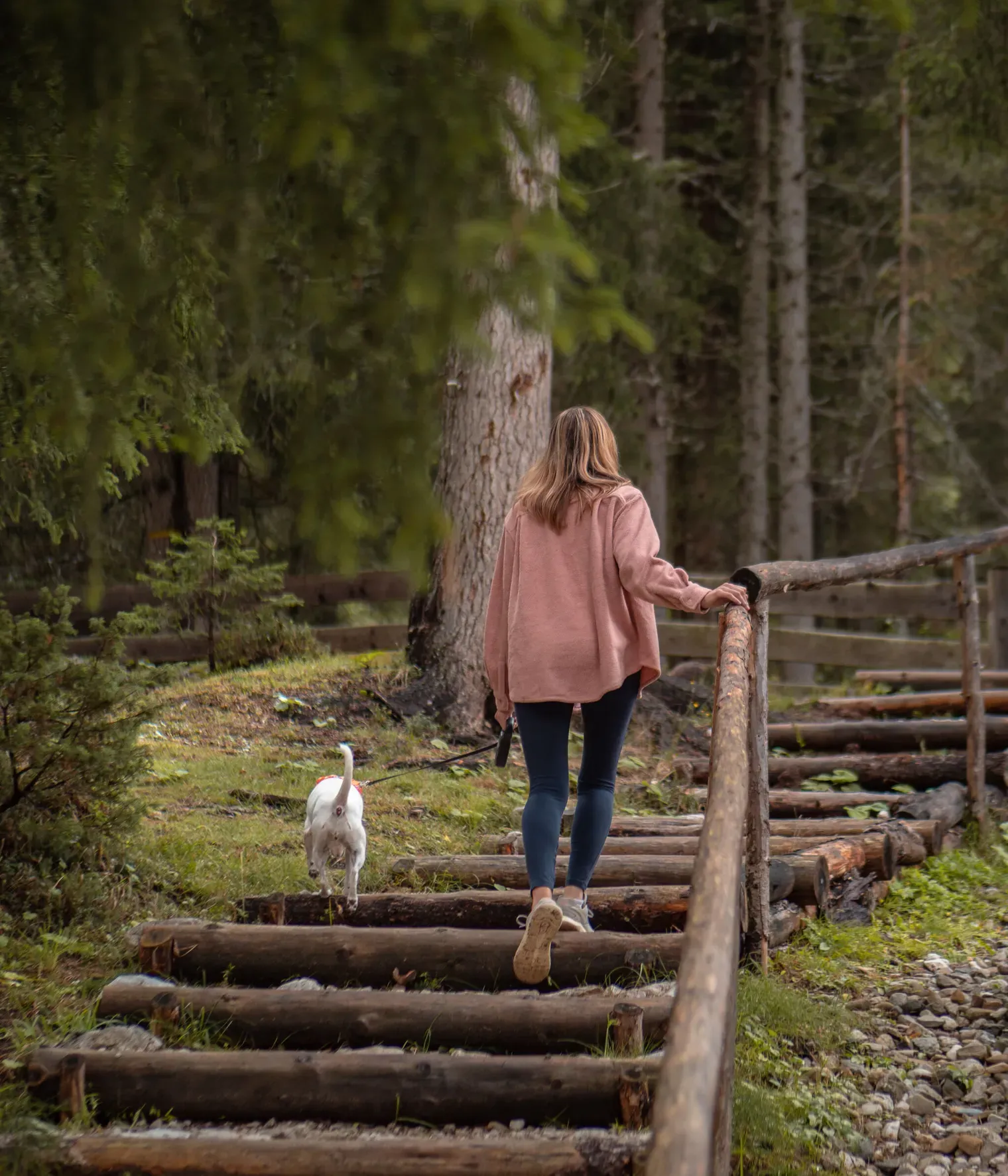 Ragazza cammina nel bosco