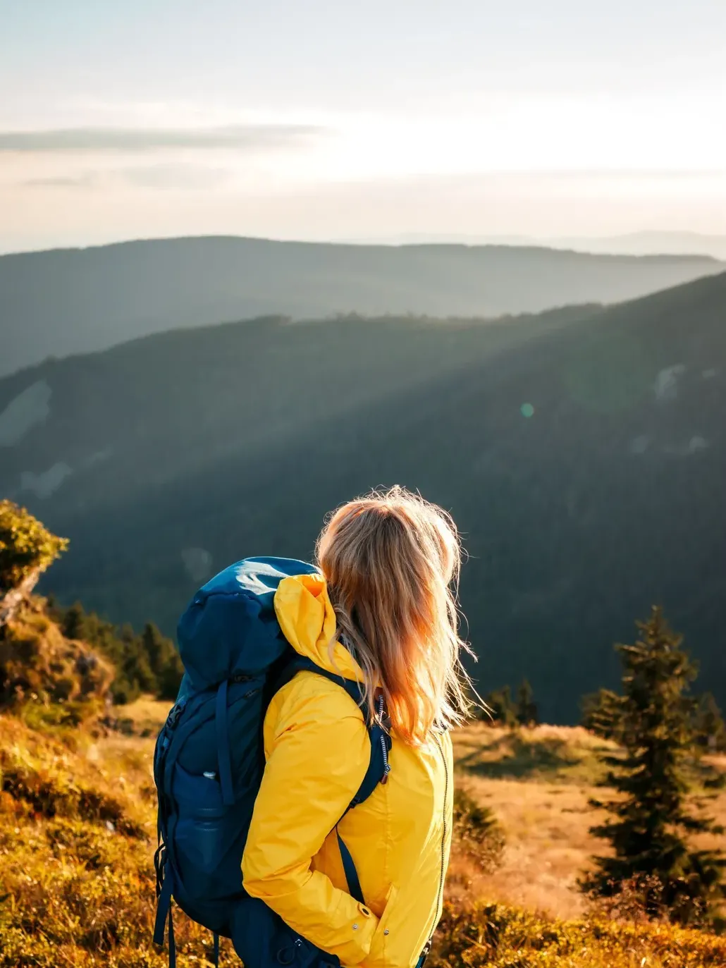 Shutterstock 2216528847