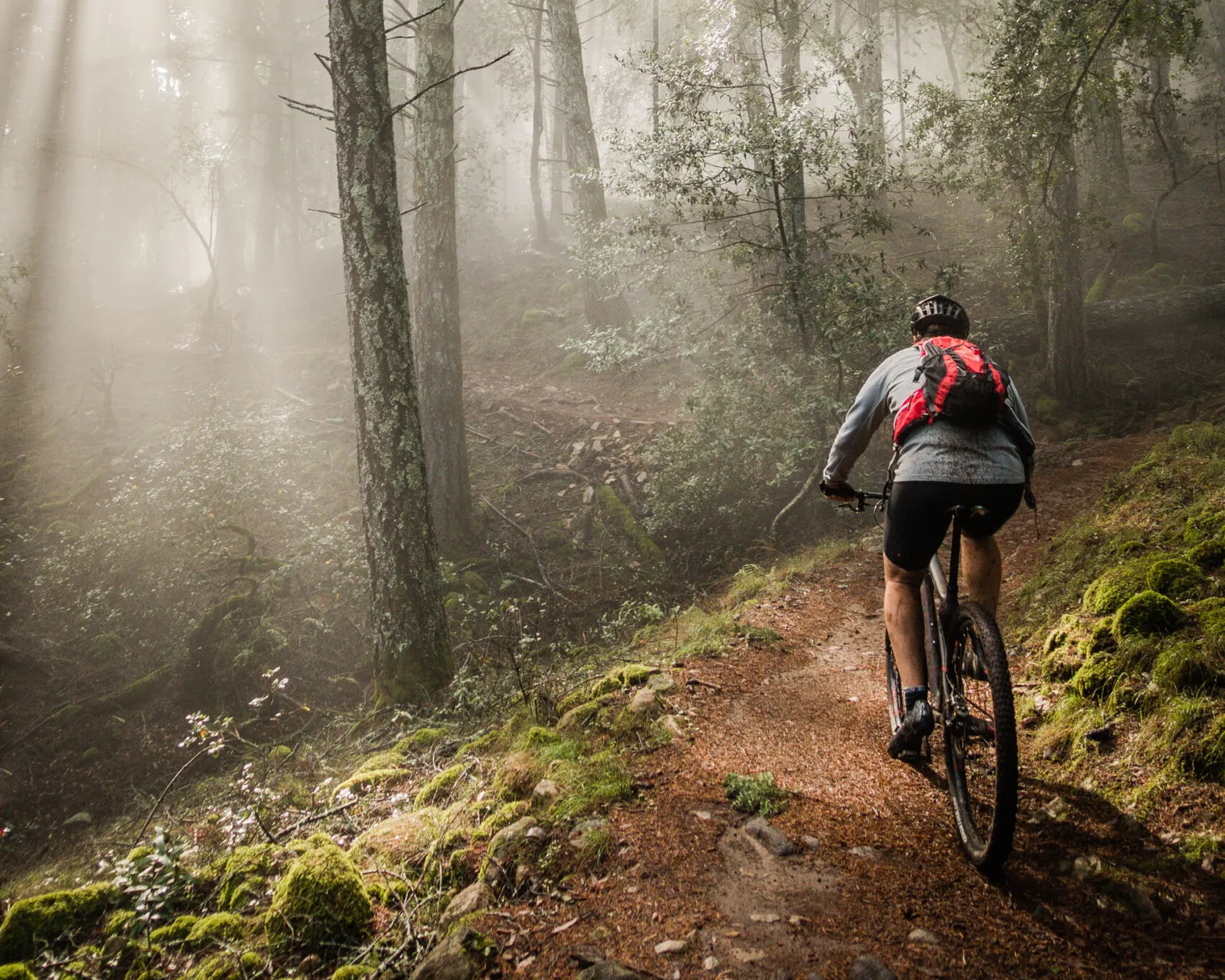 Shutterstock 413207962