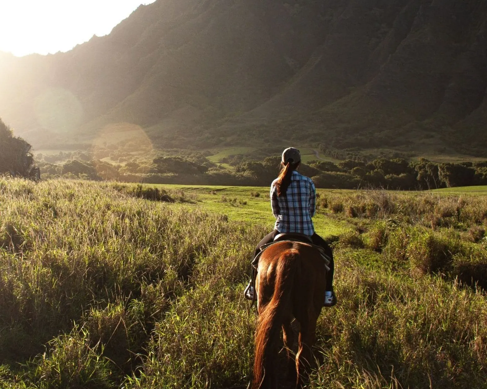 Horseback trekking nelle Marche