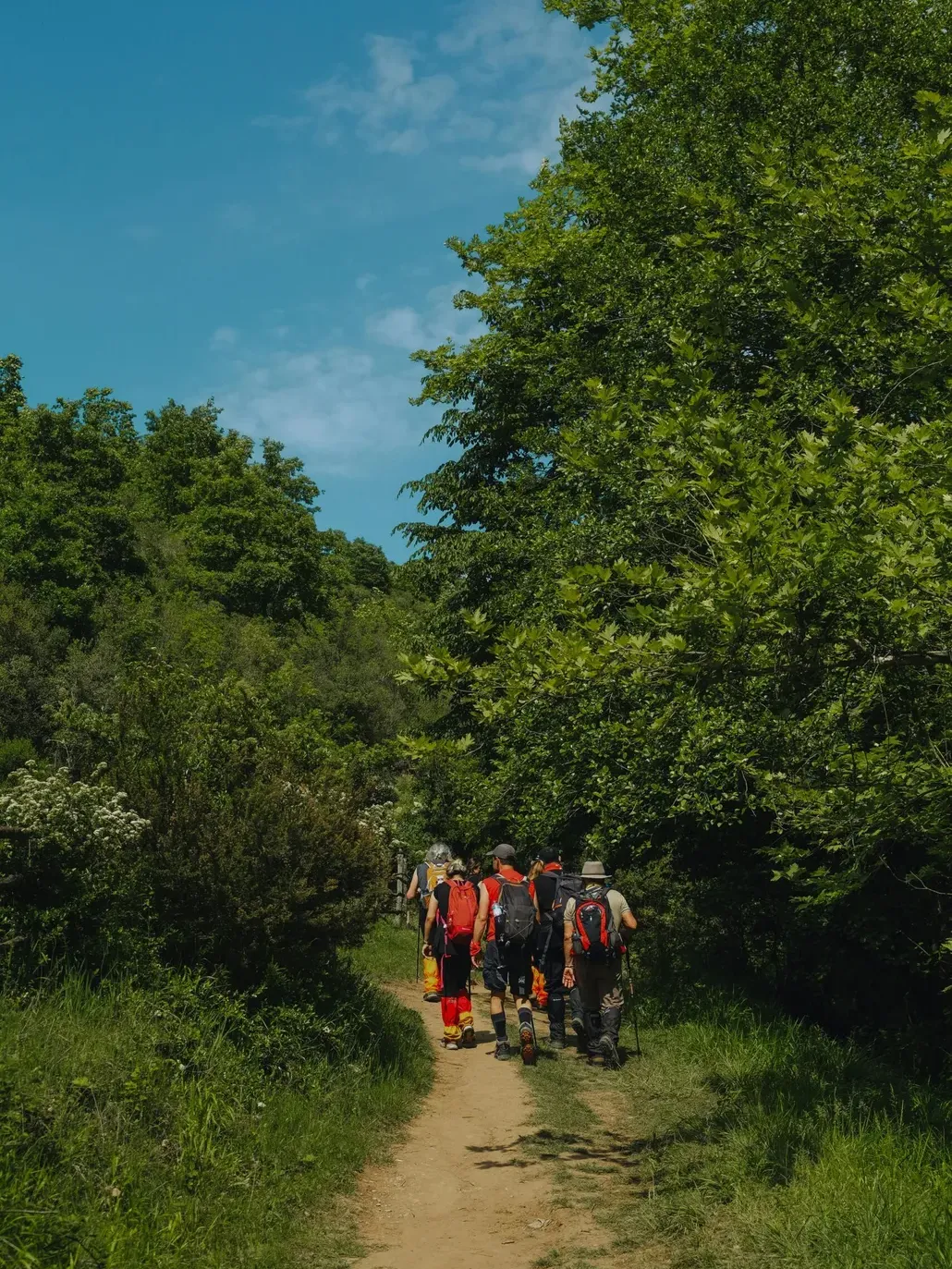 Trekking Marche
