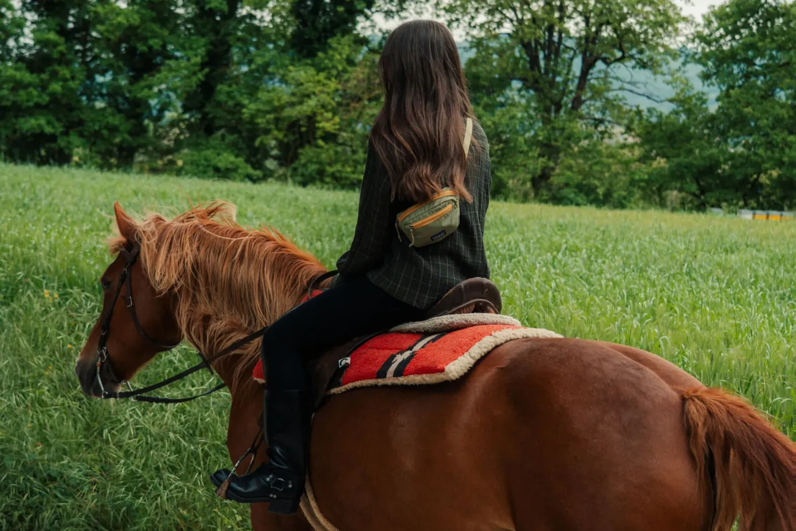Escursione a cavallo