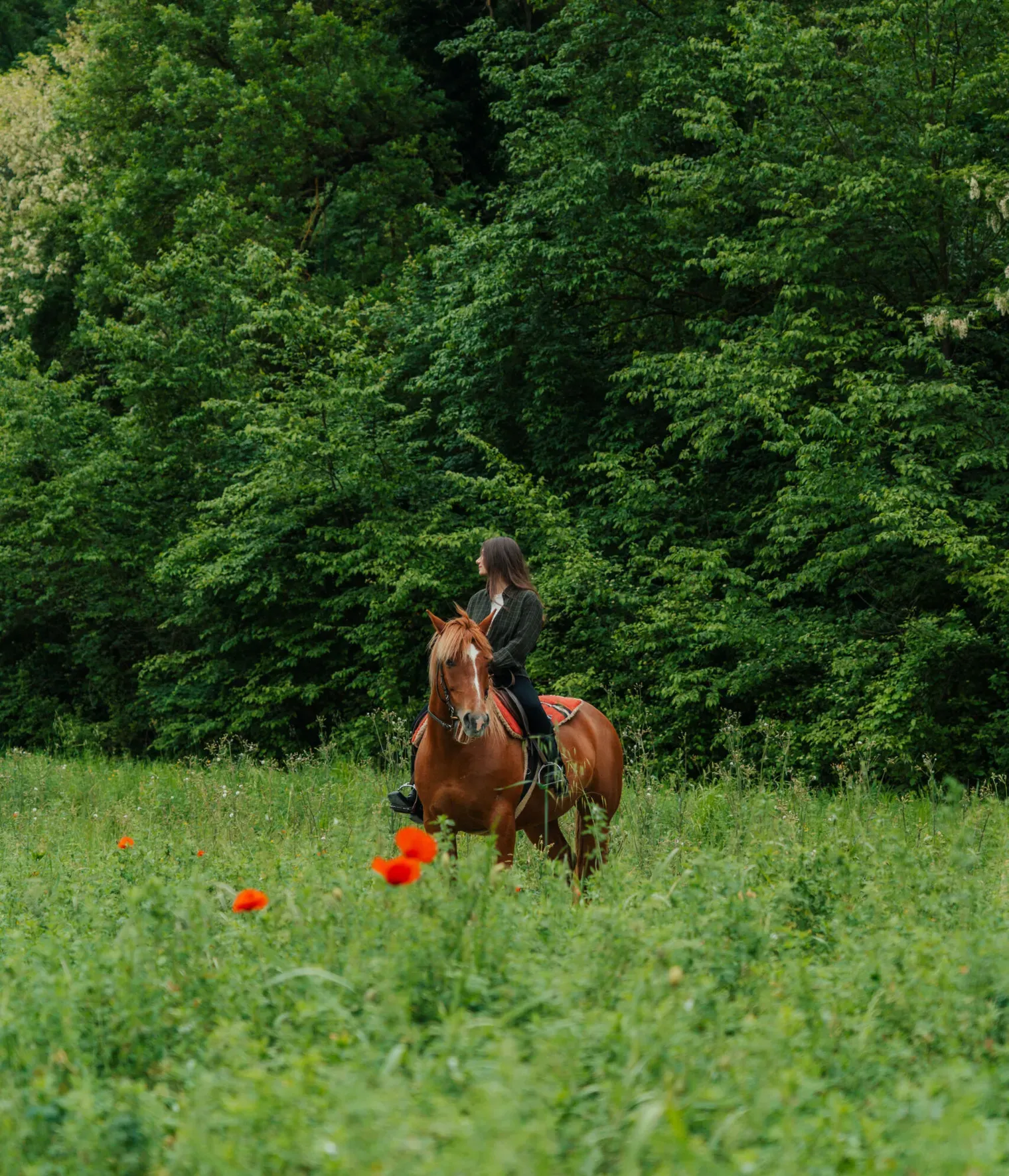 Horseback riding
