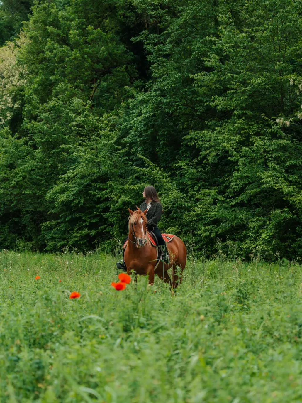 Escursione a cavallo