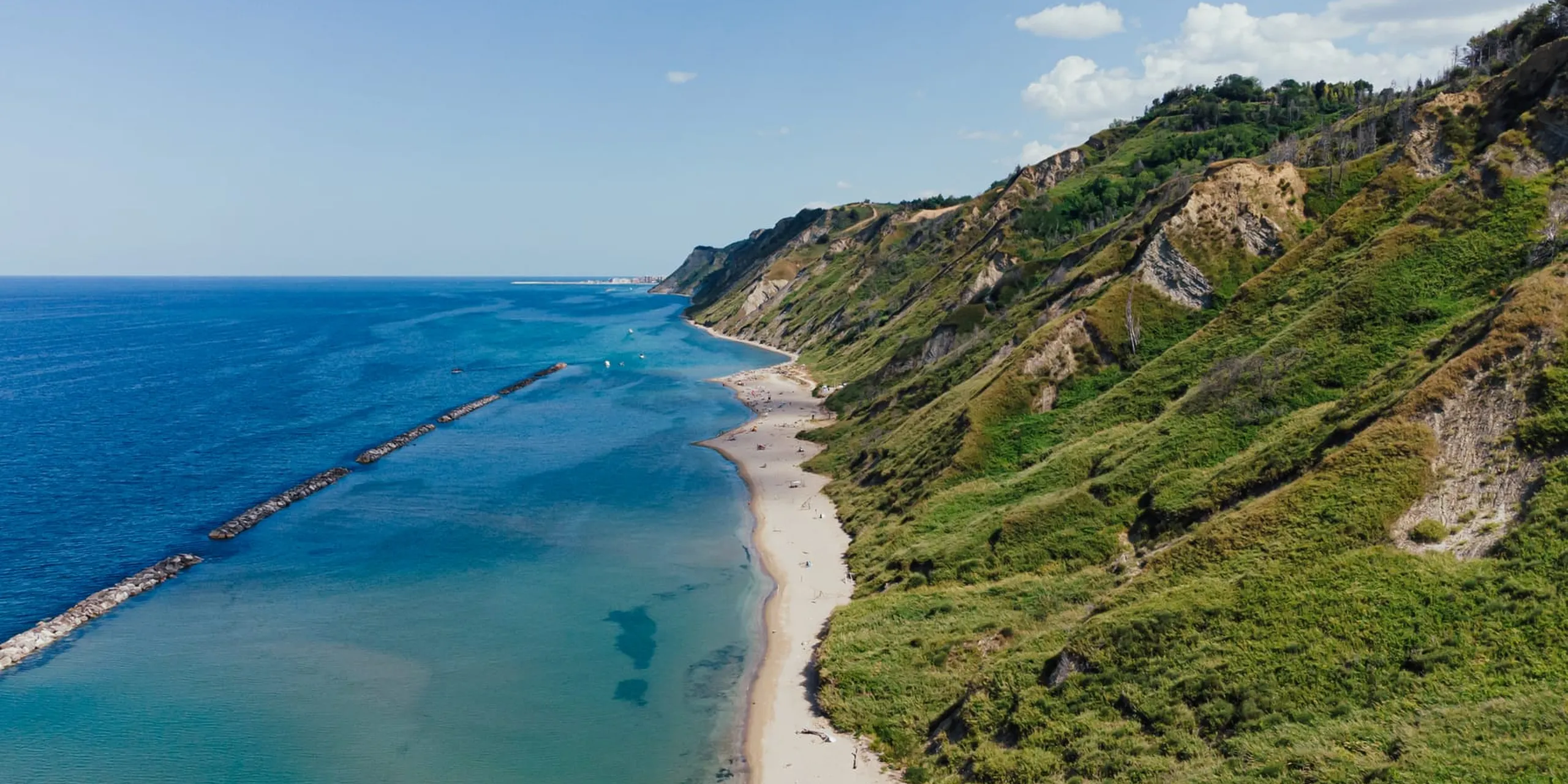 Shutterstock 2001672038