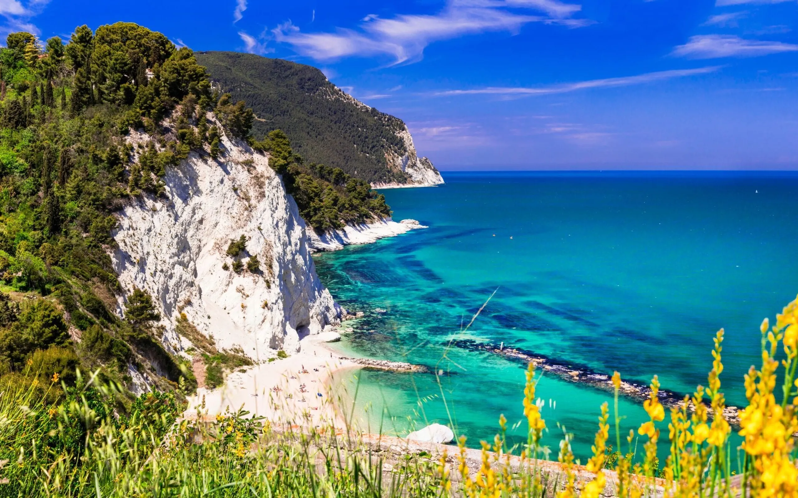 Shutterstock 2462539893 1