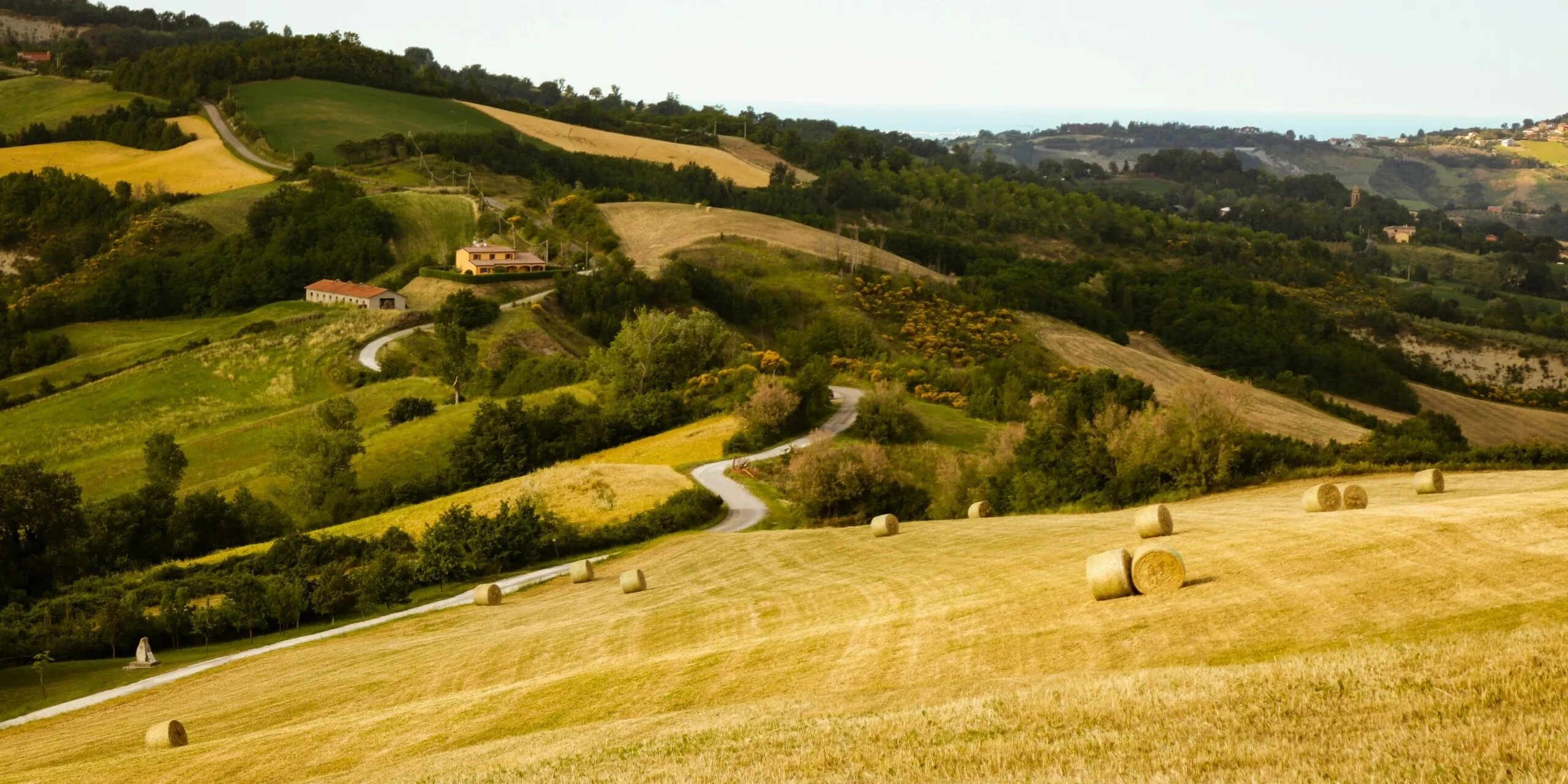 Germano tarricone JN Xs SADBJ Vc unsplash