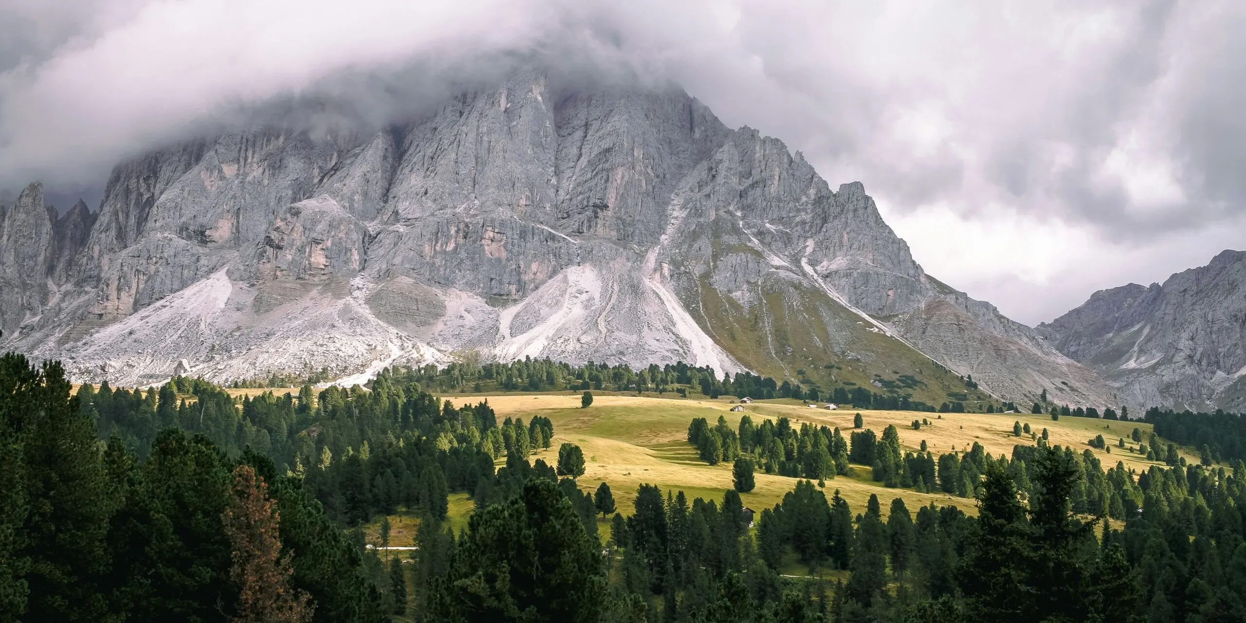 Tom def Kw9 A rt1wr M unsplash