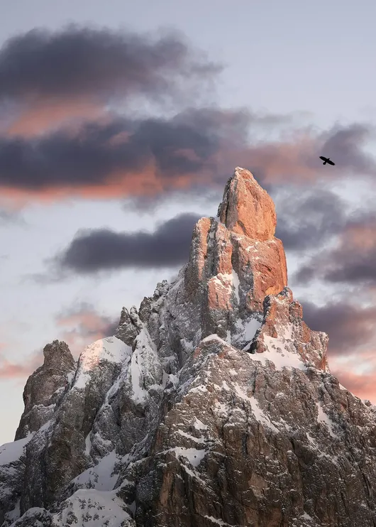 Pexels grisentig 4261096