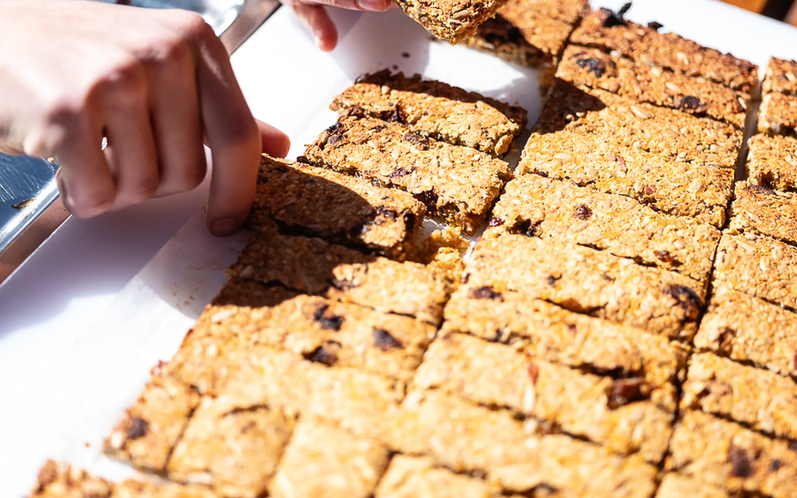 Sebastian Laraia Copyright 1