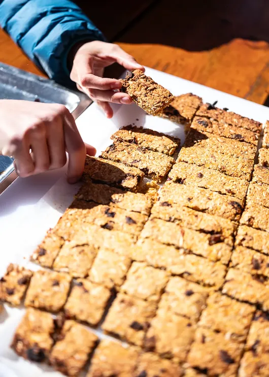 Sebastian Laraia Copyright 1