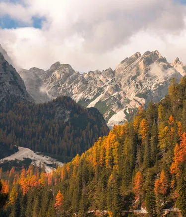 Pexels oskar gross 1074333632 34328614