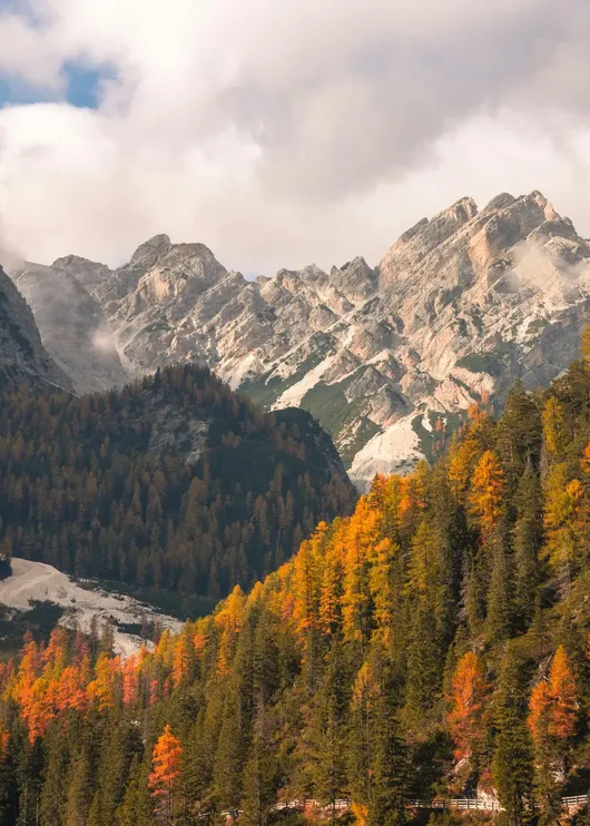 Pexels oskar gross 1074333632 34328614