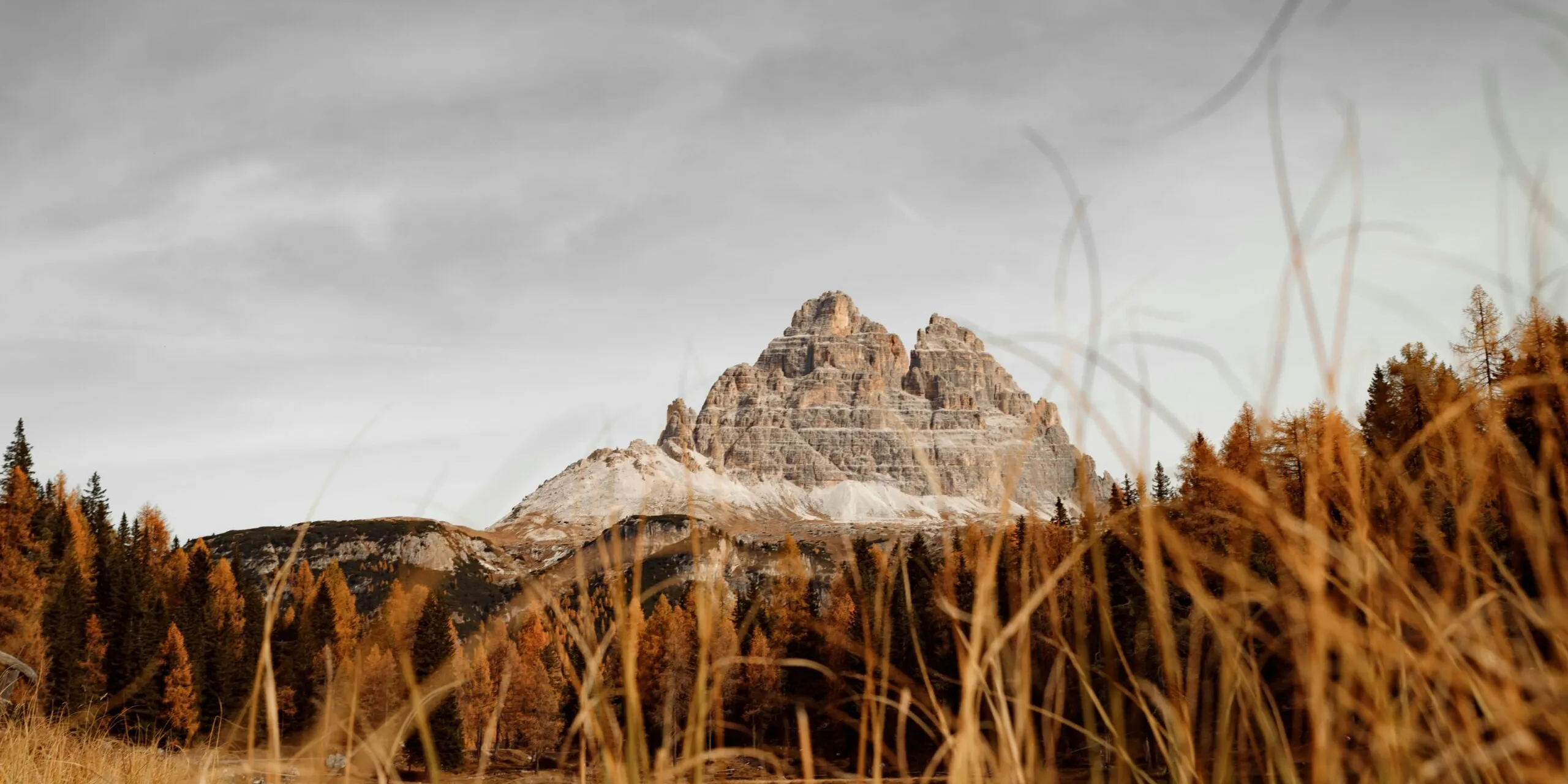 Martin grazer g uyof SR91c unsplash