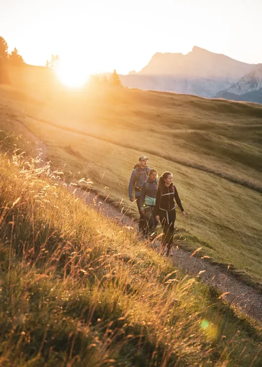 2020 Moling Alex WAN SON Goma High Resolution SO 25