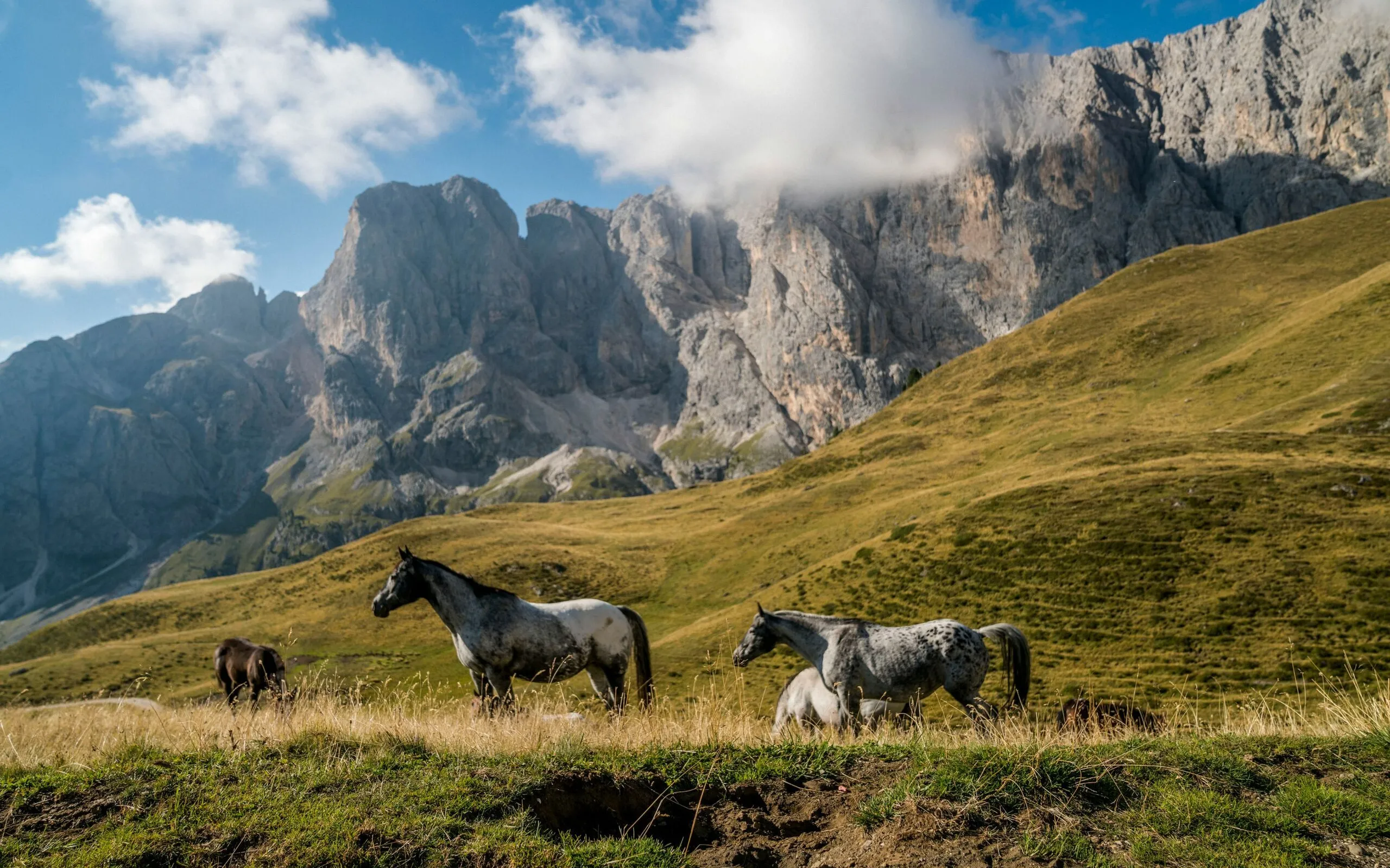 Ben guernsey mhq L Th Bcl 0 unsplash