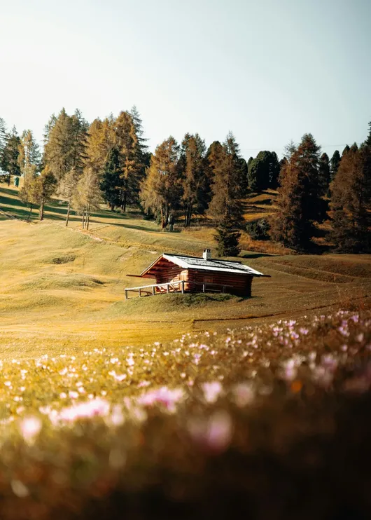 Daniel j schwarz QO Gl PG8 Eq Pc unsplash