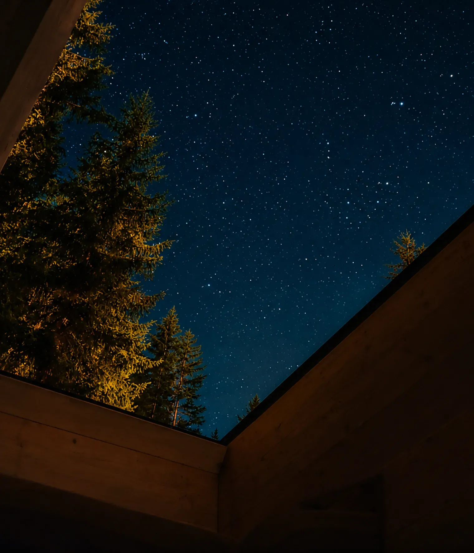 Cielo stellato e abeti visti dall’interno della Stargazing Cabin nelle Dolomiti