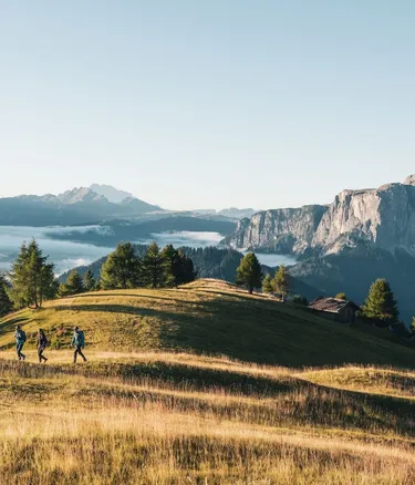 The Dolorama Experience