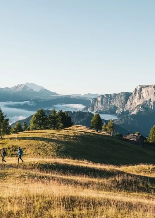 The Dolorama Experience