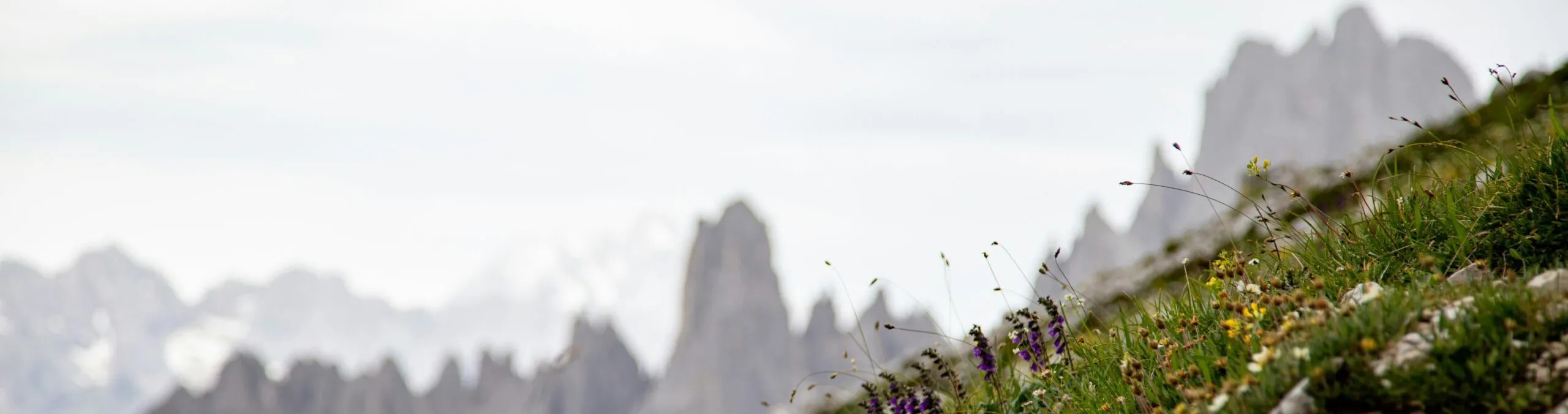 Katja anokhina 5 Jekq6tw Vh Q unsplash