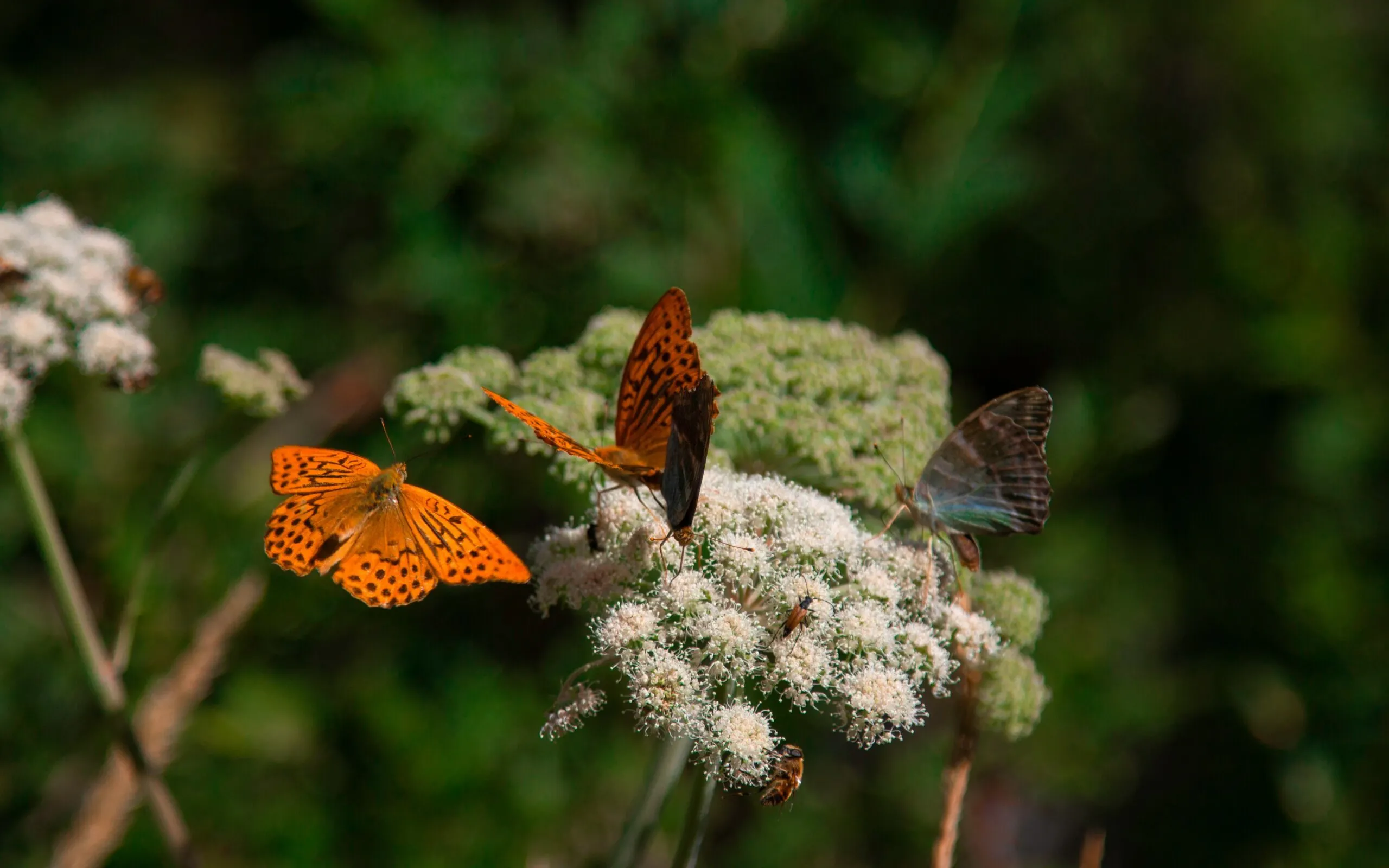 Matteo vella 4 OF6bmnee P0 unsplash