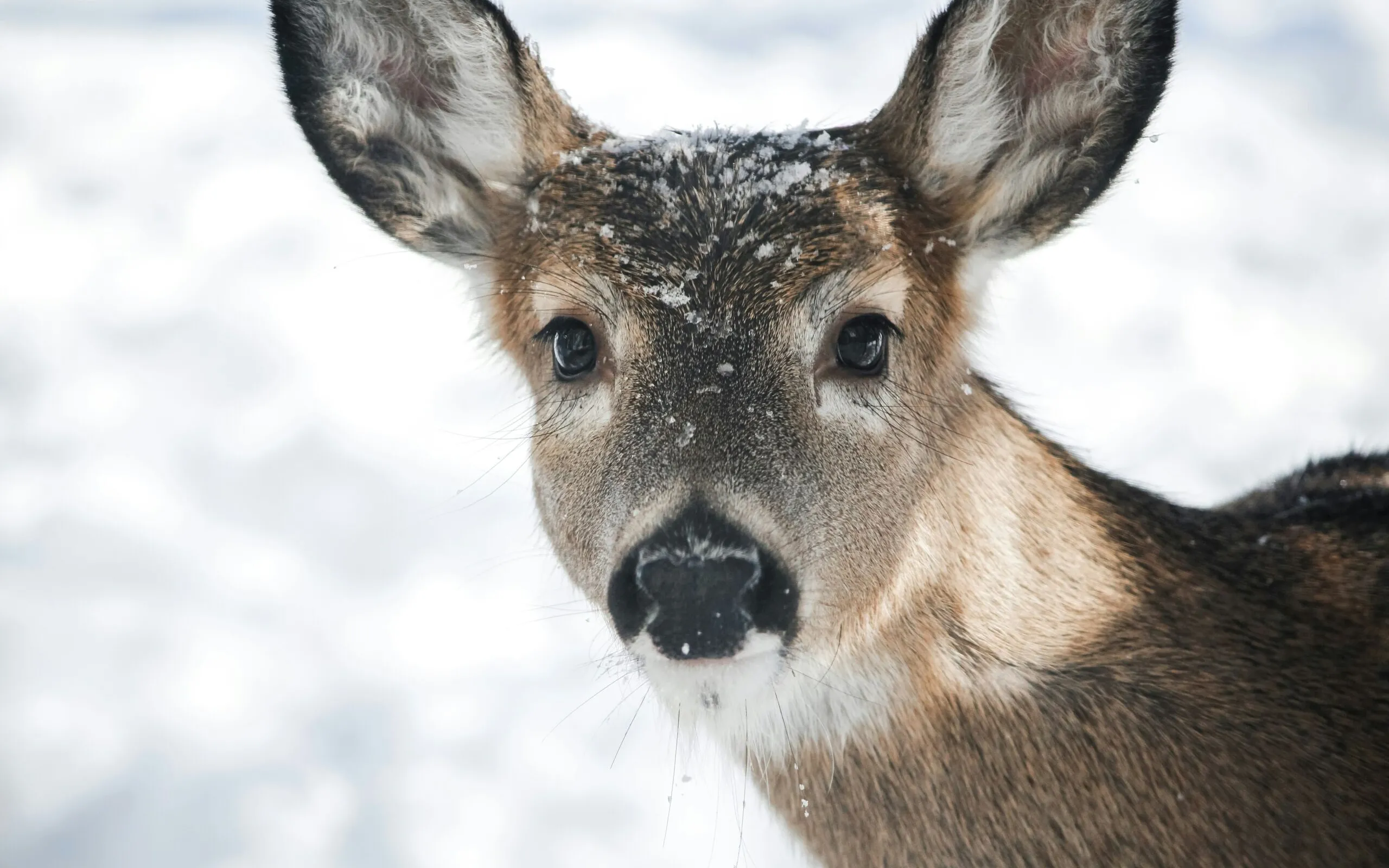 Tif Fb AI06 Y1 TSU unsplash