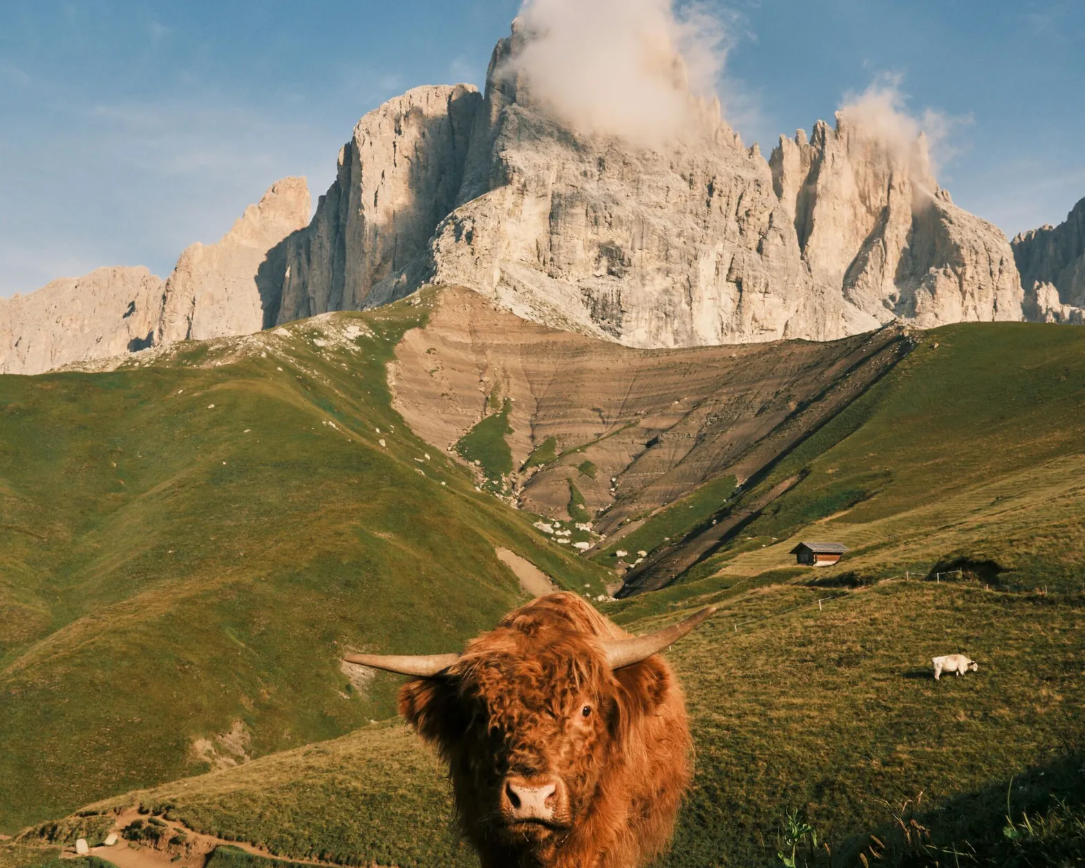 Matteo tanzi H WCW7x6v0k unsplash