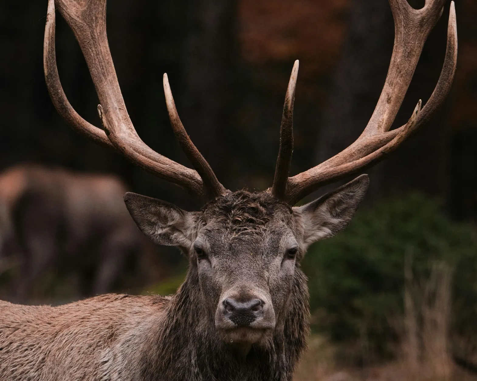 Tim schmidbauer Aj X1v o XP 4 unsplash